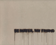 "Be Water My Friend", Kunstarkaden, Mnchen, 2009